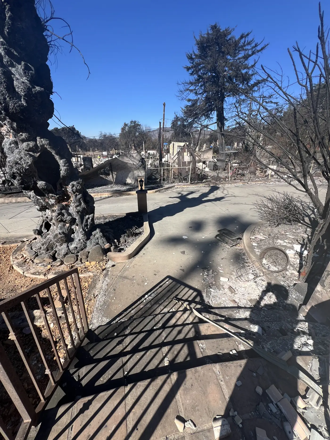 Burned rubble and scorched trees on the Altadena lot before PMK Development's rebuild on Las Flores Drive.