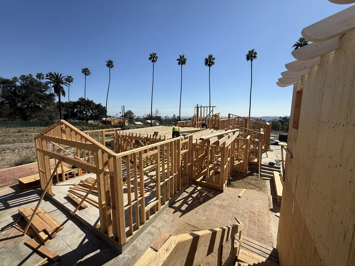 First-floor wall framing of the main home taking shape under palm trees in Altadena.