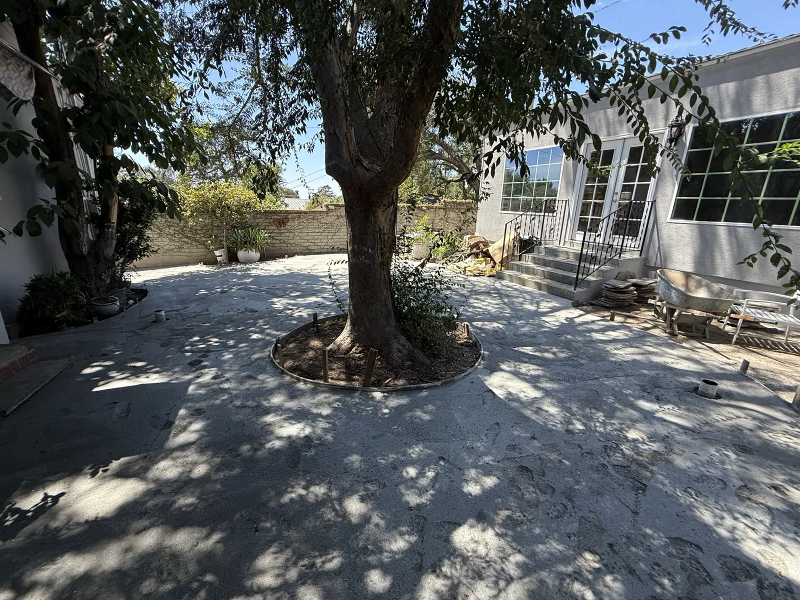 Freshly poured concrete courtyard curving around a mature tree between the existing home and the new build.